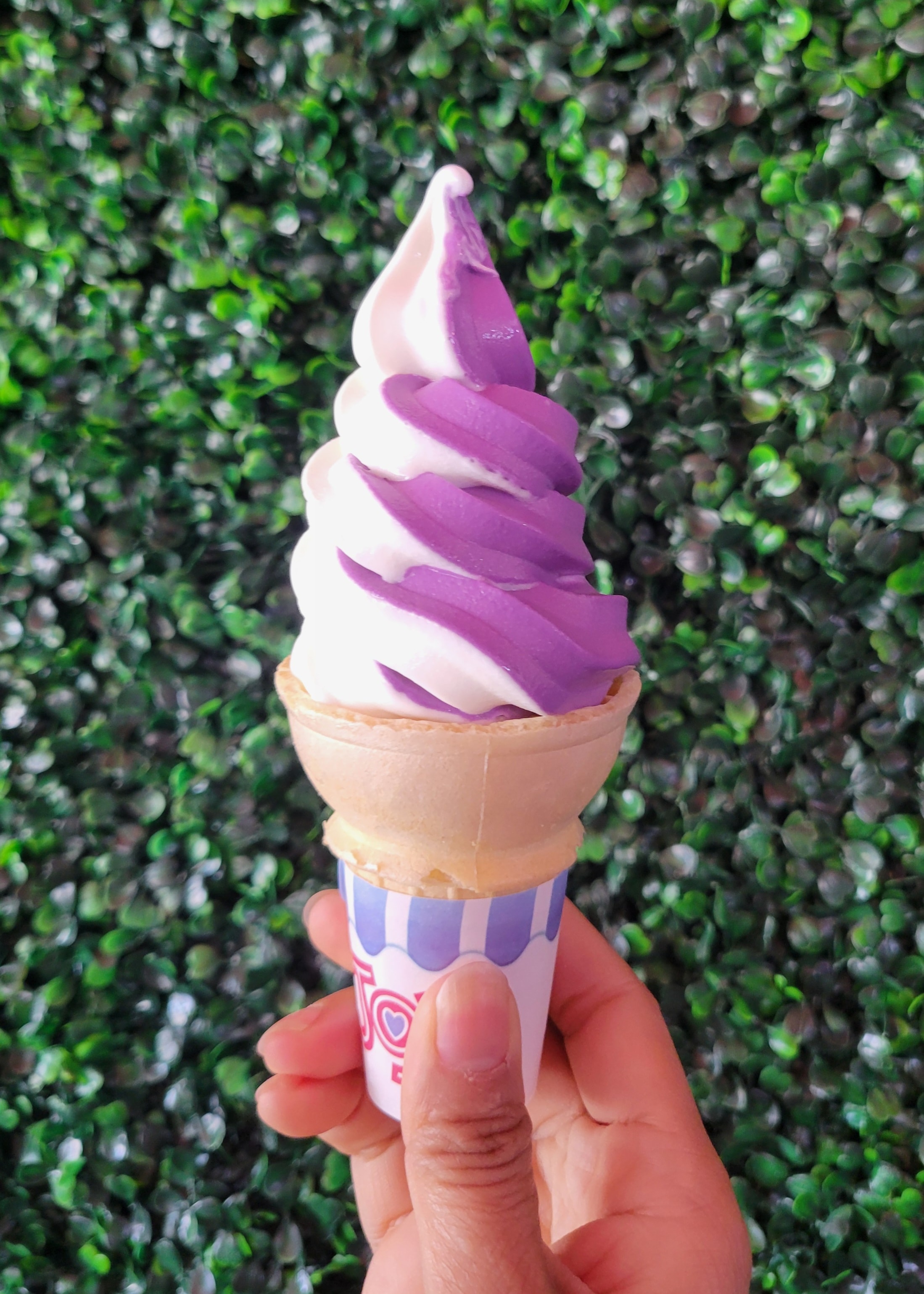 Soft Serve Gelato